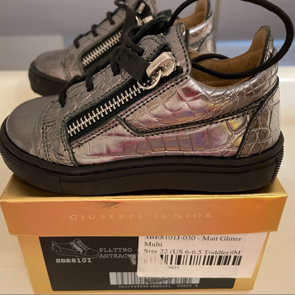 Giuseppe Zanotti